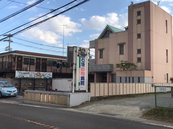 石垣動物病院
